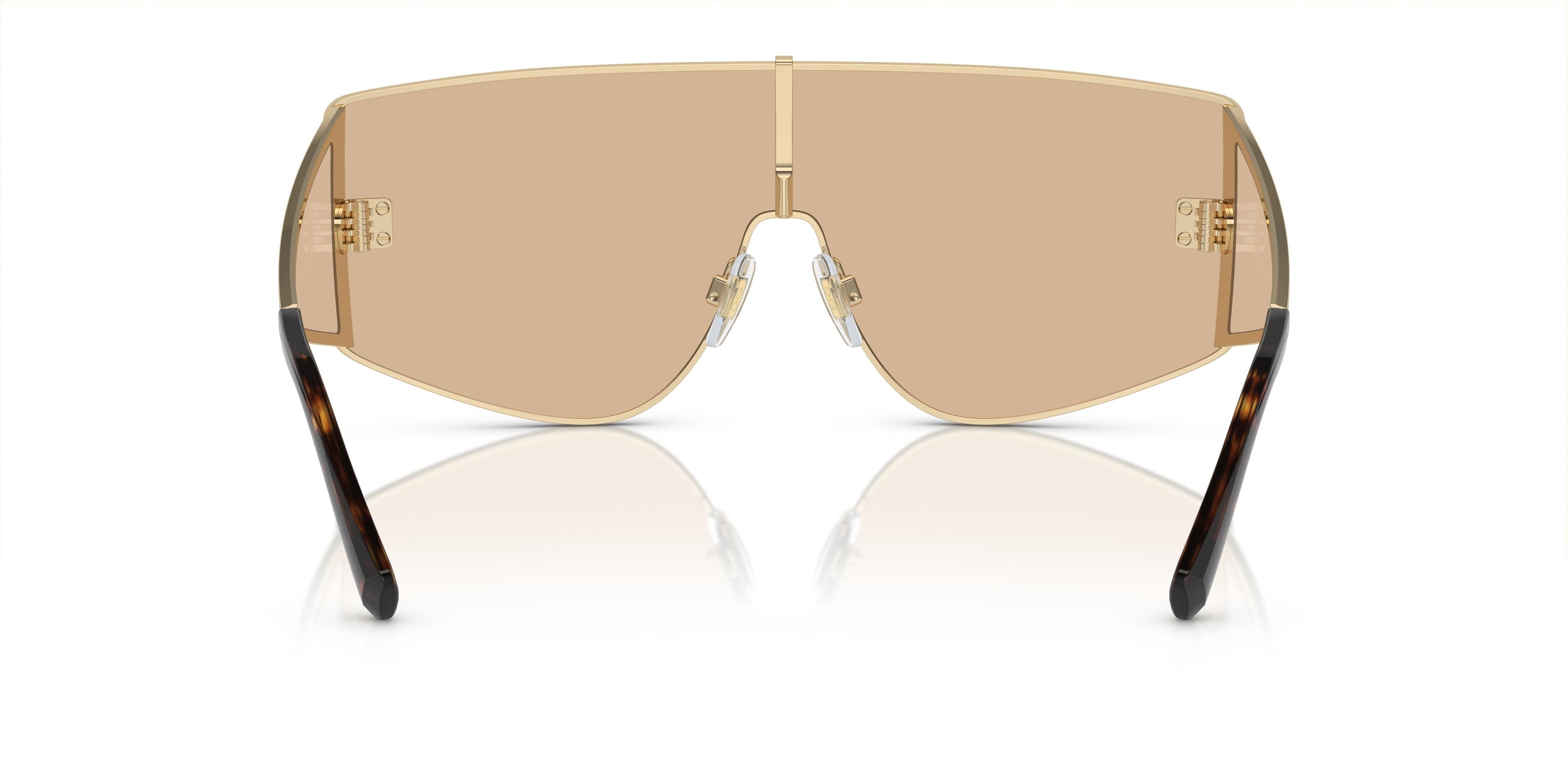 Dolce & Gabbana DG2305 (13655A) | Unisex Kahverengi Güneş Gözlüğü